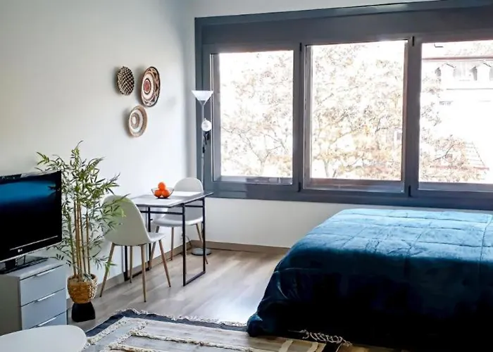 Apartment Carla D. Coimbra